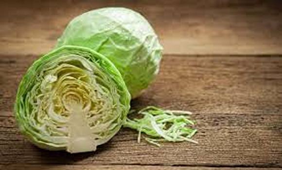تصویر 1 از خرید و قیمت کلم سفید کوچک + فروش عمده